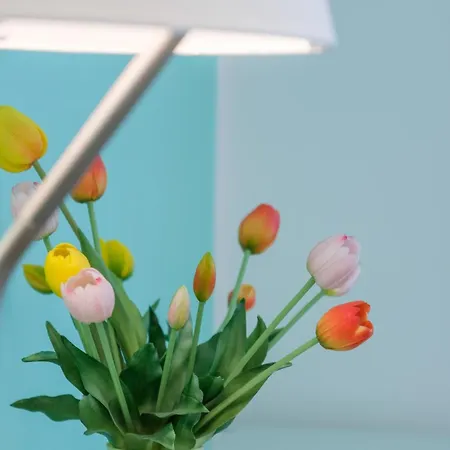 Rainbhome Colourful Casa de hóspedes